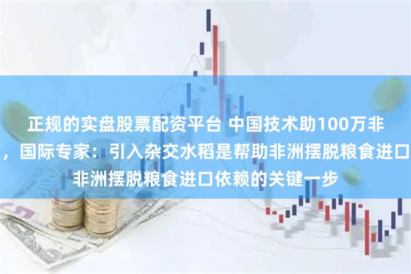 正规的实盘股票配资平台 中国技术助100万非洲农户实现增产，国际专家：引入杂交水稻是帮助非洲摆脱粮食进口依赖的关键一步